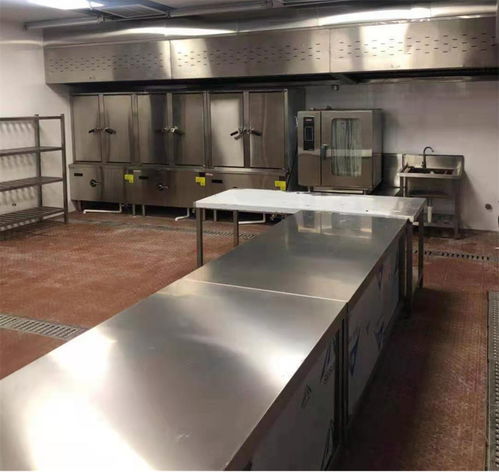 專業代工助力健康生活 黑豆黑芝麻固體飲料OEM定制——打造安全高效的補血護發代餐新選擇